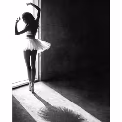 Pyramid International Shadow Dance Canvas Print - 50cm x 40cm, Black/White
