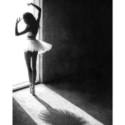 Pyramid International Shadow Dance Canvas Print - 50cm x 40cm, Black/White
