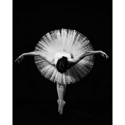 Pyramid International Finale Canvas Print - 50cm x 40cm, Black/White