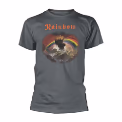 Rainbow Unisex Adult Rising Distressed Regular T-Shirt - XL, Grey