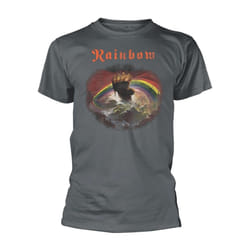 Rainbow Unisex Adult Rising Distressed Regular T-Shirt - XL, Grey