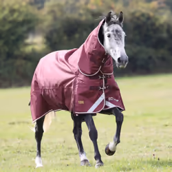 Highlander Plus Combo Neck 100g Horse Turnout Rug - 7' 3", Maroon