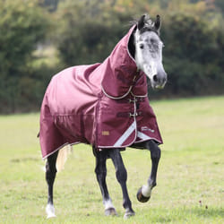 Highlander Plus Combo Neck 100g Horse Turnout Rug - 7' 3", Maroon
