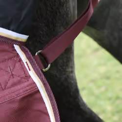Highlander Plus Combo Neck 100g Horse Turnout Rug - 7' 3", Maroon