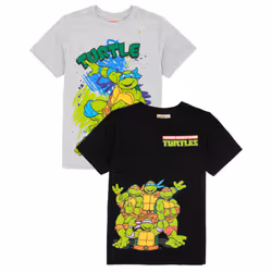 Teenage Mutant Ninja Turtles Childrens/Kids T-Shirt (Pack of 2) - 5-6 Years, Black/Grey Marl