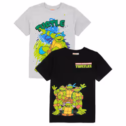 Teenage Mutant Ninja Turtles Childrens/Kids T-Shirt (Pack of 2)