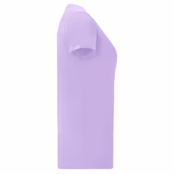 Fruit Of The Loom Womens/Ladies Iconic T-Shirt - L, Soft Lavender