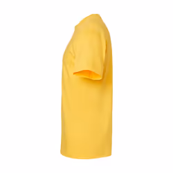 Gildan Unisex Adult Softstyle Midweight T-Shirt - S, Daisy Yellow