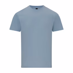 Gildan Unisex Adult Softstyle Midweight T-Shirt - M, Light Blue