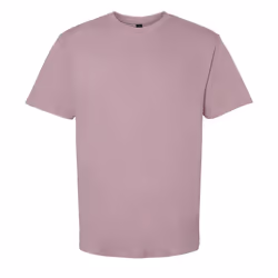 Gildan Unisex Adult Softstyle Midweight T-Shirt - S, Paragon
