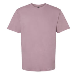 Gildan Unisex Adult Softstyle Midweight T-Shirt - S, Paragon