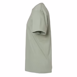 Gildan Unisex Adult Softstyle Midweight T-Shirt - 2XL, Sage