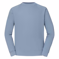 Fruit of the Loom Unisex Adult Classic Raglan Sweatshirt - L, Mineral Blue