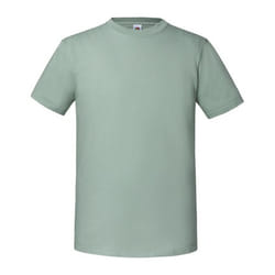 Fruit Of The Loom Mens Iconic 195 Ringspun Premium Tshirt - L UK, Sage