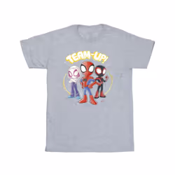 Marvel Boys Spidey And His Amazing Friends Sketch T-Shirt - 12-13 Years, Sports Grey
