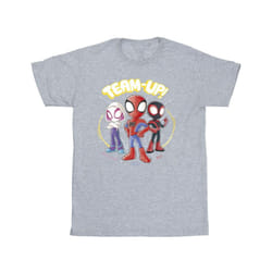 Marvel Boys Spidey And His Amazing Friends Sketch T-Shirt - 12-13 Years, Sports Grey