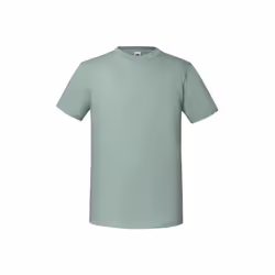 Fruit of the Loom Mens Iconic Premium Ringspun Cotton T-Shirt - L, Sage