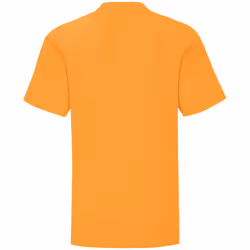 Fruit Of The Loom Childrens/Kids Iconic T-Shirt - 12-13 Years, Orange