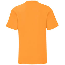 Fruit Of The Loom Childrens/Kids Iconic T-Shirt - 12-13 Years, Orange