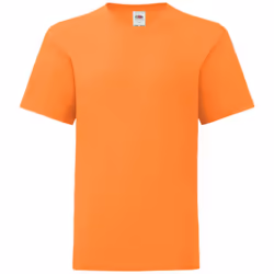 Fruit Of The Loom Childrens/Kids Iconic T-Shirt - 12-13 Years, Orange