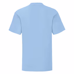 Fruit Of The Loom Childrens/Kids Iconic T-Shirt - 12-13 Years, Sky Blue