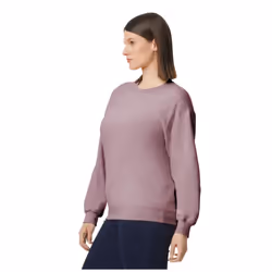 Gildan Unisex Adult Softstyle Fleece Midweight Pullover - S, Paragon