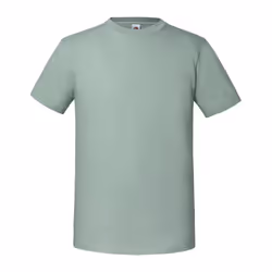 Fruit Of The Loom Mens Iconic 195 Ringspun Premium Tshirt - M UK, Sage