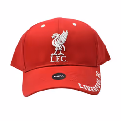 Liverpool FC Unisex Adult Mass Frost Snapback Cap - One Size, Red/White