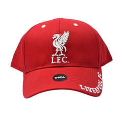 Liverpool FC Unisex Adult Mass Frost Snapback Cap - One Size, Red/White