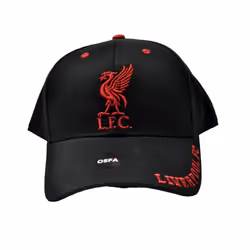 Liverpool FC Unisex Adult Mass Frost Snapback Cap - One Size, Black/Red