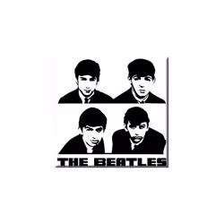 The Beatles Portrait Fridge Magnet
