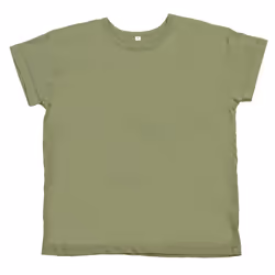 Mantis Womens/Ladies Boyfriend T-Shirt - S, Soft Olive