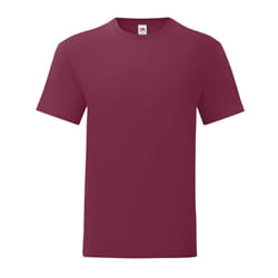 Fruit of the Loom Mens Iconic T-Shirt - 3XL, Burgundy