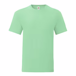 Fruit of the Loom Mens Iconic T-Shirt - 3XL, Neo Mint