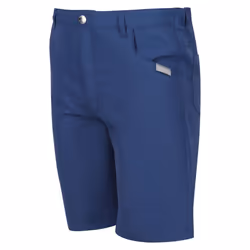 Regatta Childrens/Kids Sorcer II Shorts - 11-12 Years, Blue Wing