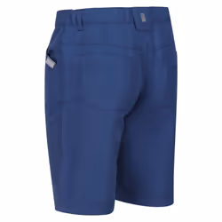 Regatta Childrens/Kids Sorcer II Shorts - 11-12 Years, Blue Wing