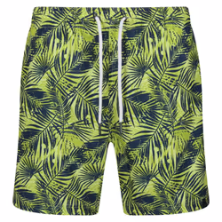 Regatta Mens Loras Palm Print Swim Shorts - XL, Sharp Green