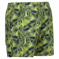 Regatta Mens Loras Palm Print Swim Shorts - XL, Sharp Green