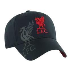 Liverpool FC Unisex Adult Obsidian Crest Baseball Cap - One Size, Black