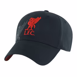 Liverpool FC Unisex Adult Obsidian Crest Baseball Cap - One Size, Black