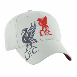Liverpool FC Unisex Adult Obsidian Crest Baseball Cap - One Size, Grey
