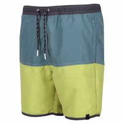 Regatta Mens Benicio Swim Shorts - XXL, Sea Pine/Green Algae