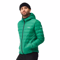 Regatta Mens Marizion Baffled Hooded Padded Jacket - L, Field Green/Jasmine Green
