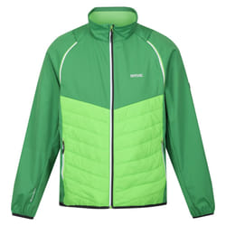 Regatta Mens Steren Hybrid Soft Shell Jacket - L, Field Green/Jasmine Green