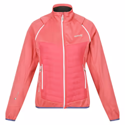 Regatta Womens/Ladies Steren Hybrid Jacket - 10 UK, Fruit Dove