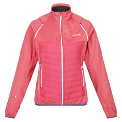 Regatta Womens/Ladies Steren Hybrid Jacket - 10 UK, Fruit Dove