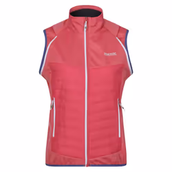 Regatta Womens/Ladies Steren Hybrid Jacket - 10 UK, Fruit Dove