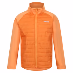 Regatta Childrens/Kids Hydrate VIII 3 in 1 Waterproof Jacket - 11-12 Years, Apricot Crush/Seal Grey