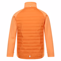 Regatta Childrens/Kids Hydrate VIII 3 in 1 Waterproof Jacket - 11-12 Years, Apricot Crush/Seal Grey