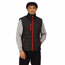 Regatta Mens Navigate Thermal Body Warmer - L, Black/Classic Red